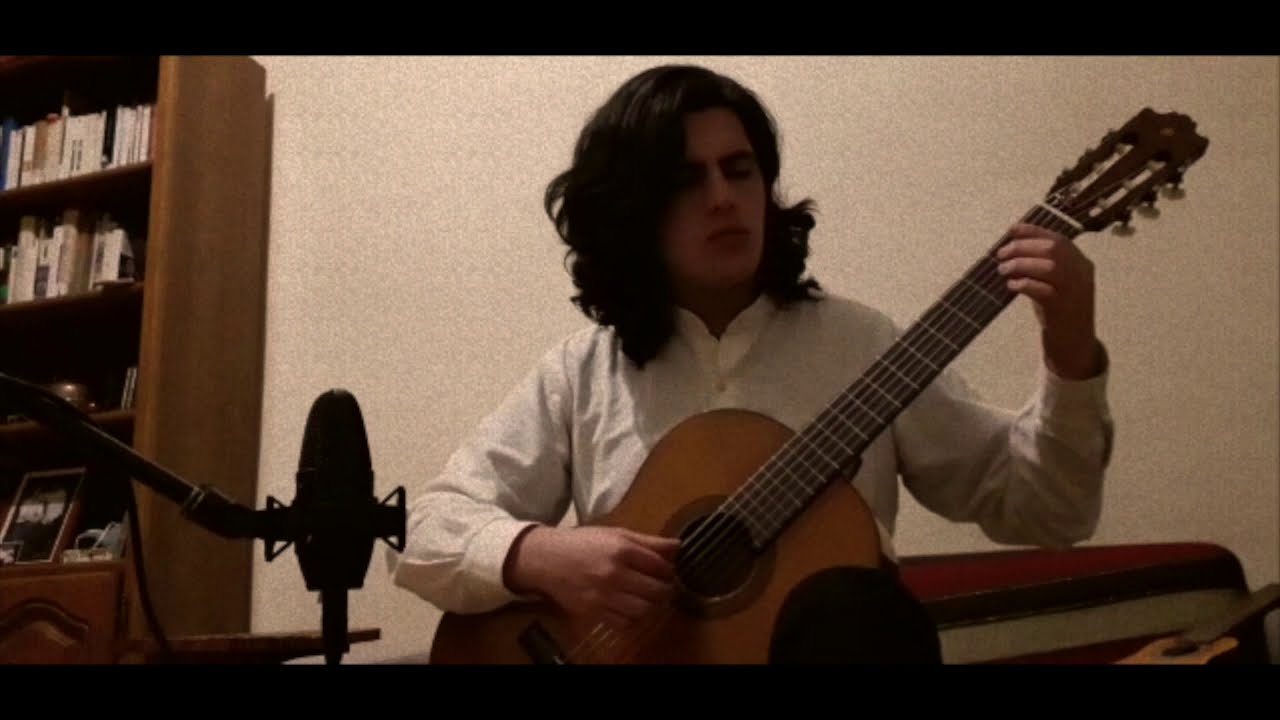 Lloran las ramas del viento - Nicolás Bonilla