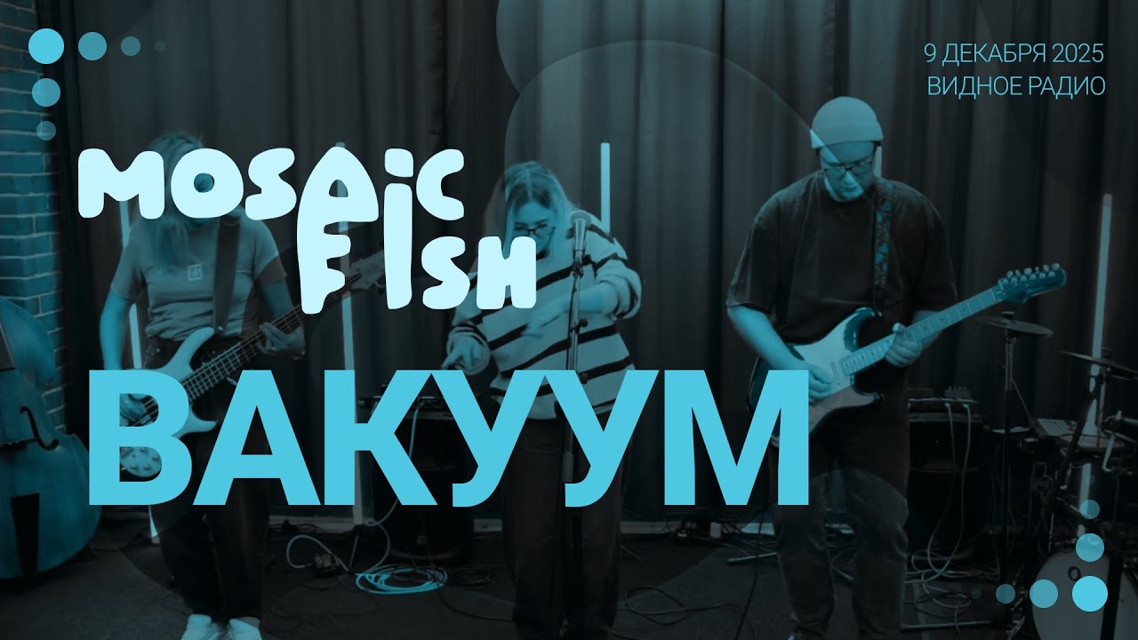 Mosaic Fish - Вакуум (Лайв на Видном радио)