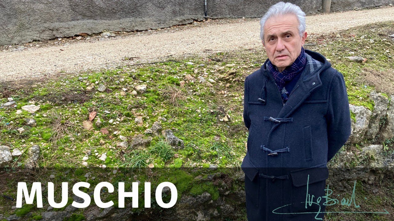 Il Muschio, Pianta Primitiva e di Rigenerazione