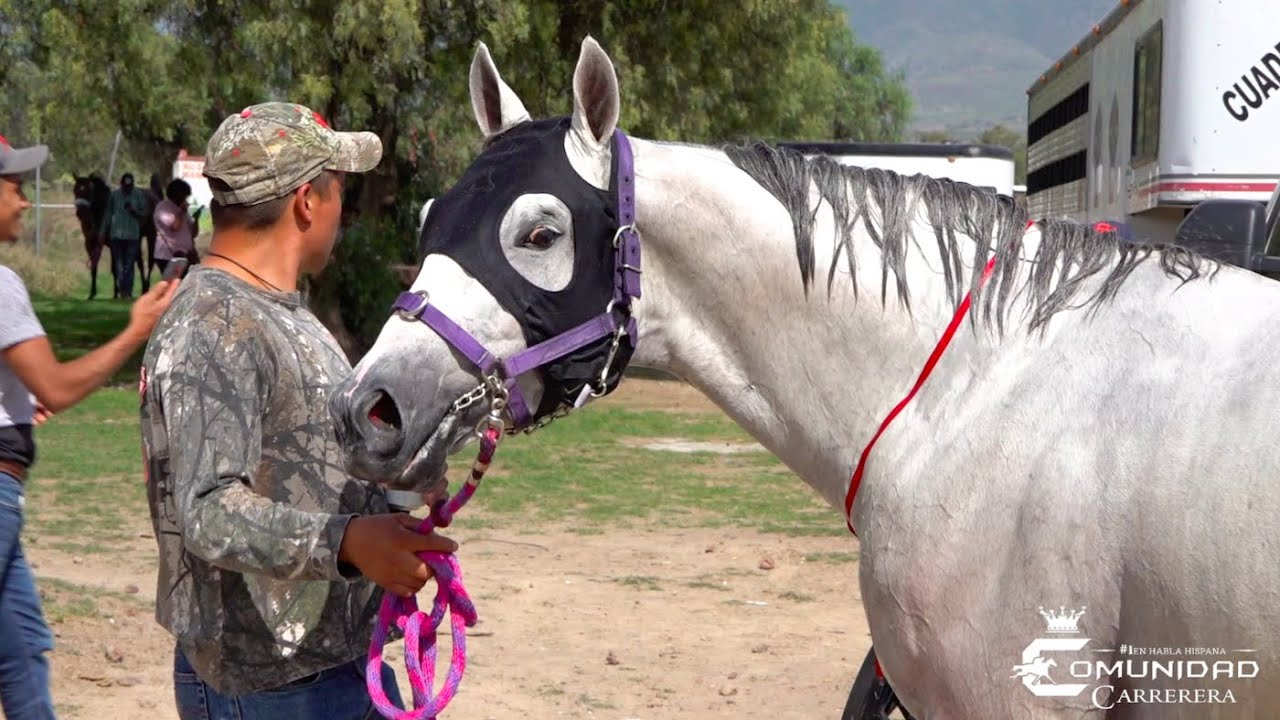 Palomo Vs. Tuzo Vs. Boudicea. Pista San Esteban, EdoMex.