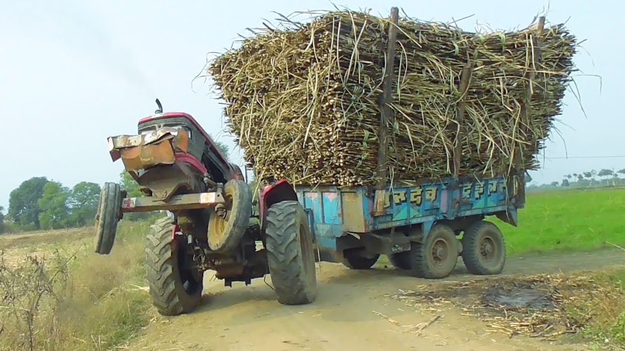 Mahindra Arjun 605 with full loaded trolley of Sugarcane pulling by Old Escort 55