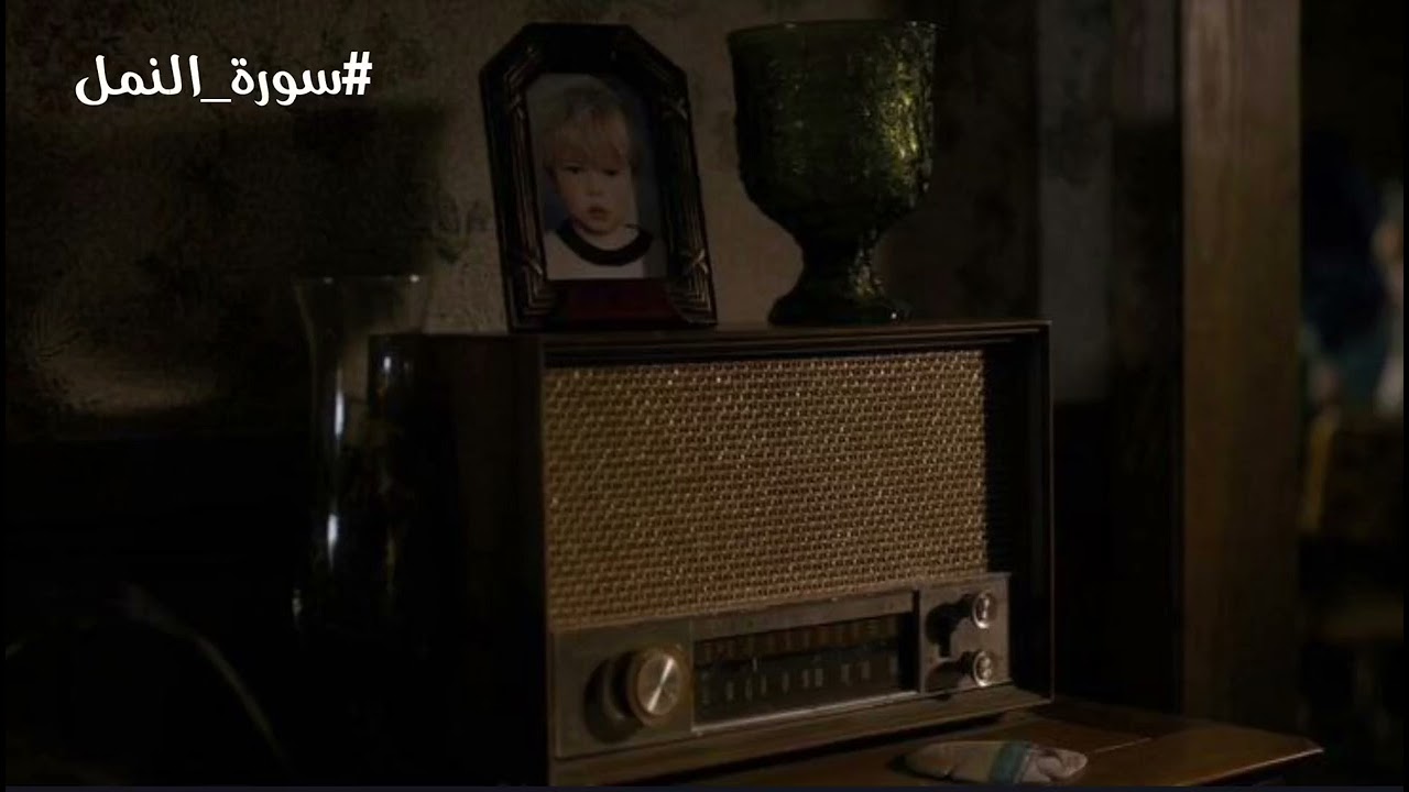 ما تيسر من سورتي النمل والضحى | بصوت الشيخ أحمد نعينع. #قران_كريم #اكسبلور #تصميمي