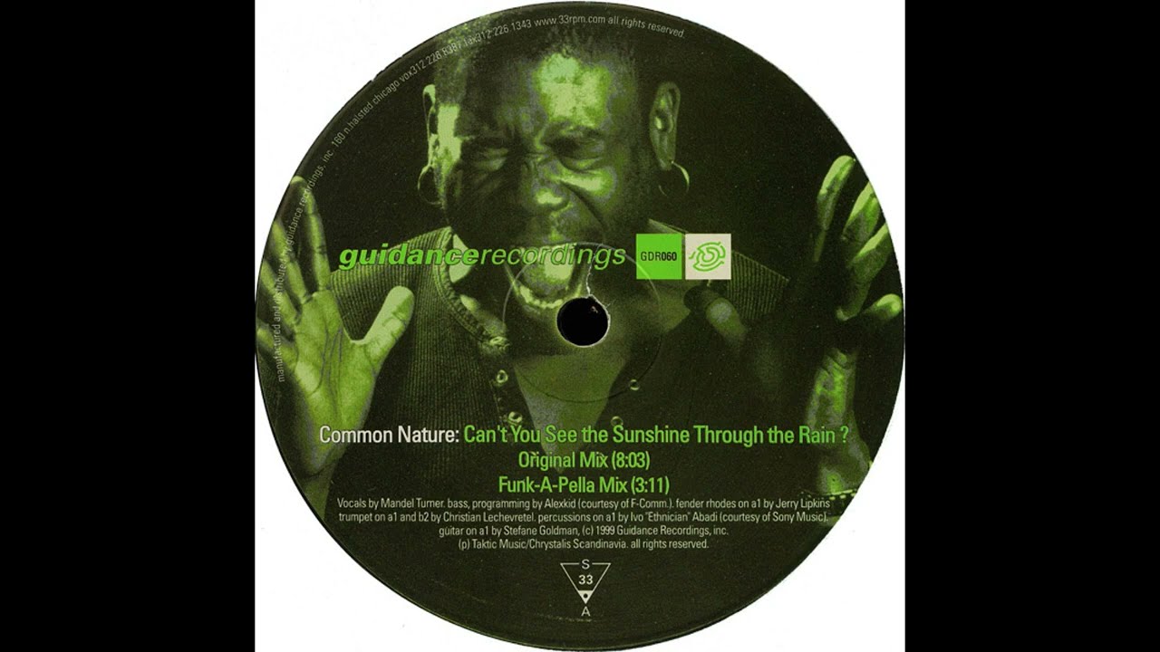 Common Nature  -  Can't You See the Sunshine Through the Rain? (Original Mix)