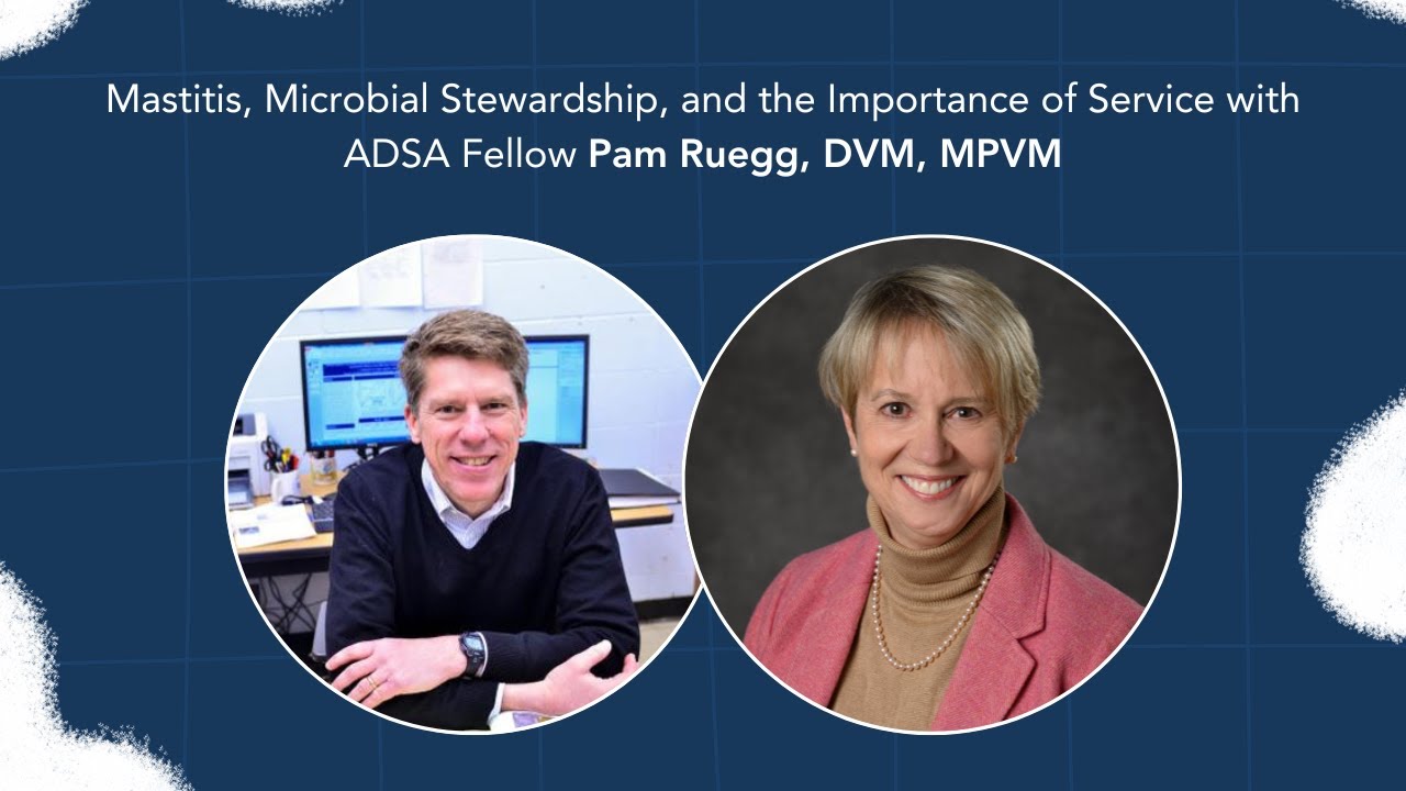 DD Ep30: Mastitis, Microbial Stewardship, and Service with ADSA Fellow Pam Ruegg, DVM, MPVM