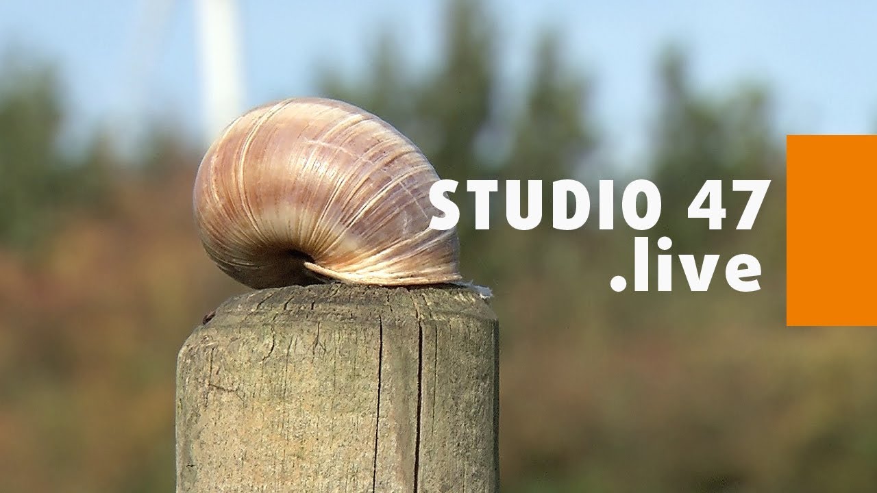 STUDIO 47 .live | GRAFSCHAFTER WEINBERGSCHNECKENZUCHT IN MOERS