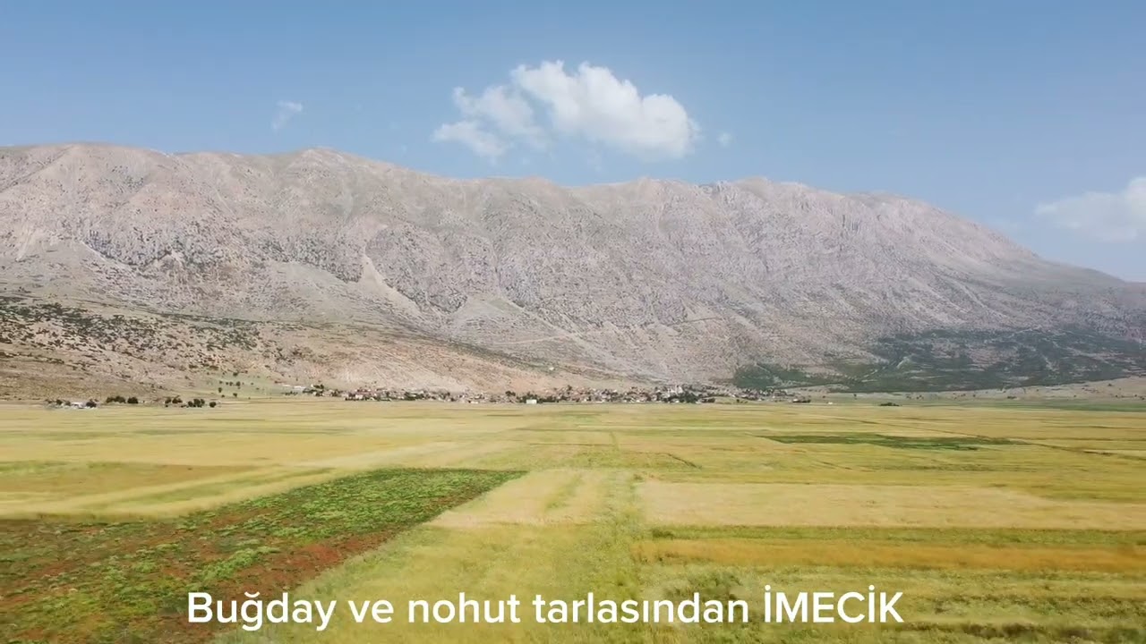 imecik