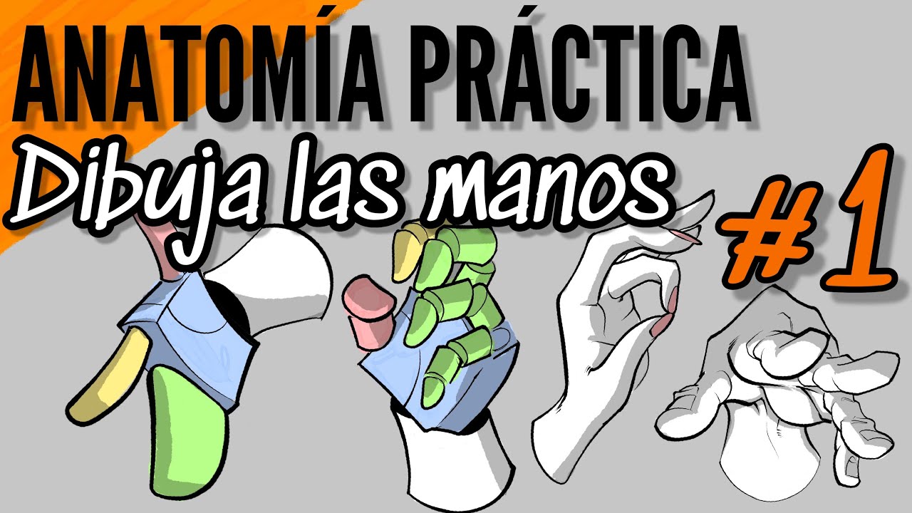 Anatomía dibujada / Aprende a dibujar las manos / curso de dibujo / tutorial de dibujo / #dibujo