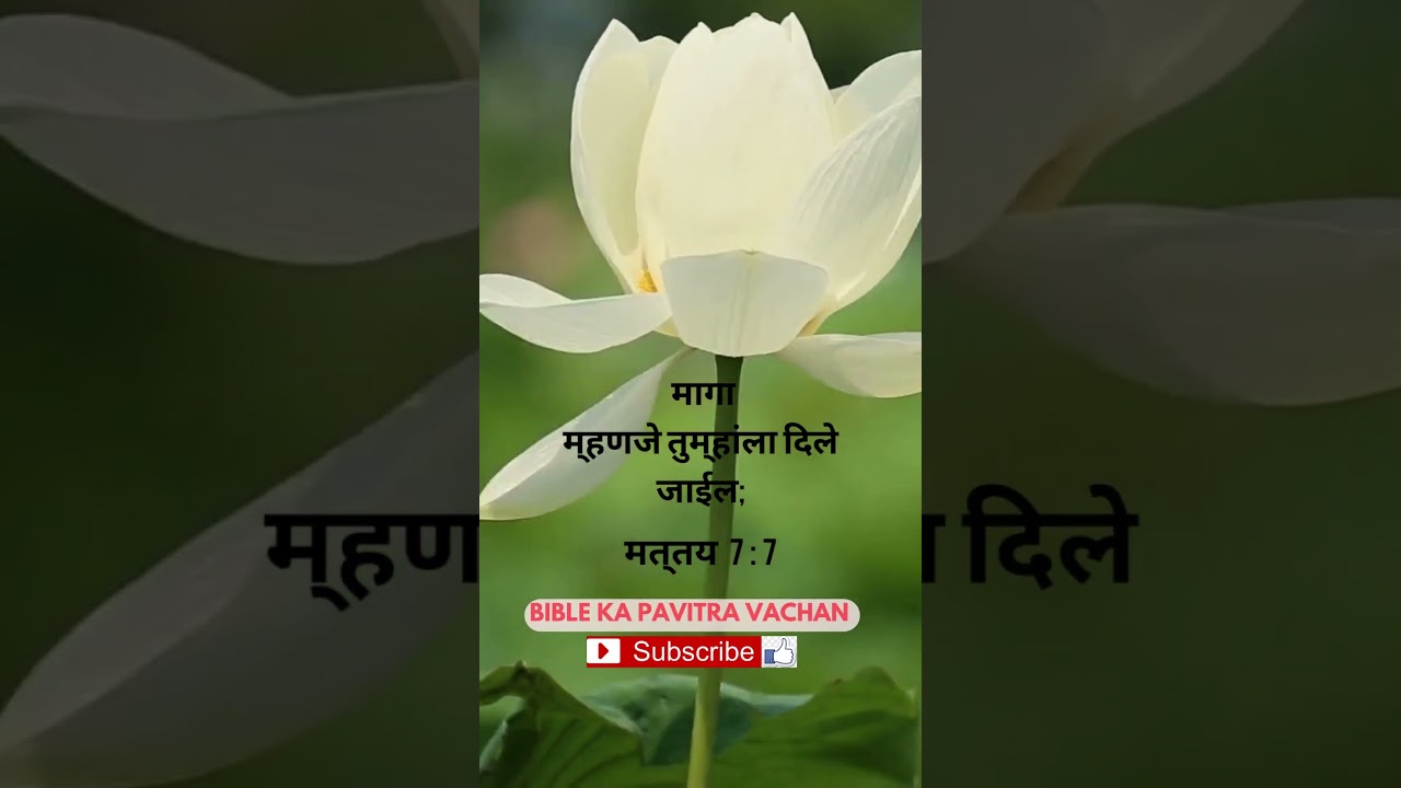 MARATHI-BIBLE VERSE #Daily God's Word for you.#jesus #bible #bibleverse #marathibible #marathi