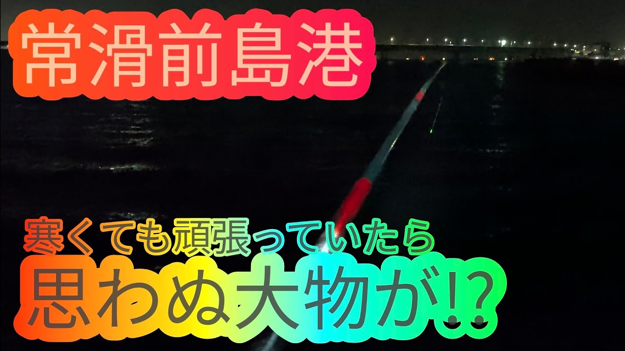 寒い中でも頑張ったら思わぬ大物が…愛知県 知多半島 伊勢湾 常滑前島港 海釣り fishing ロックフィッシュ カサゴ グレ