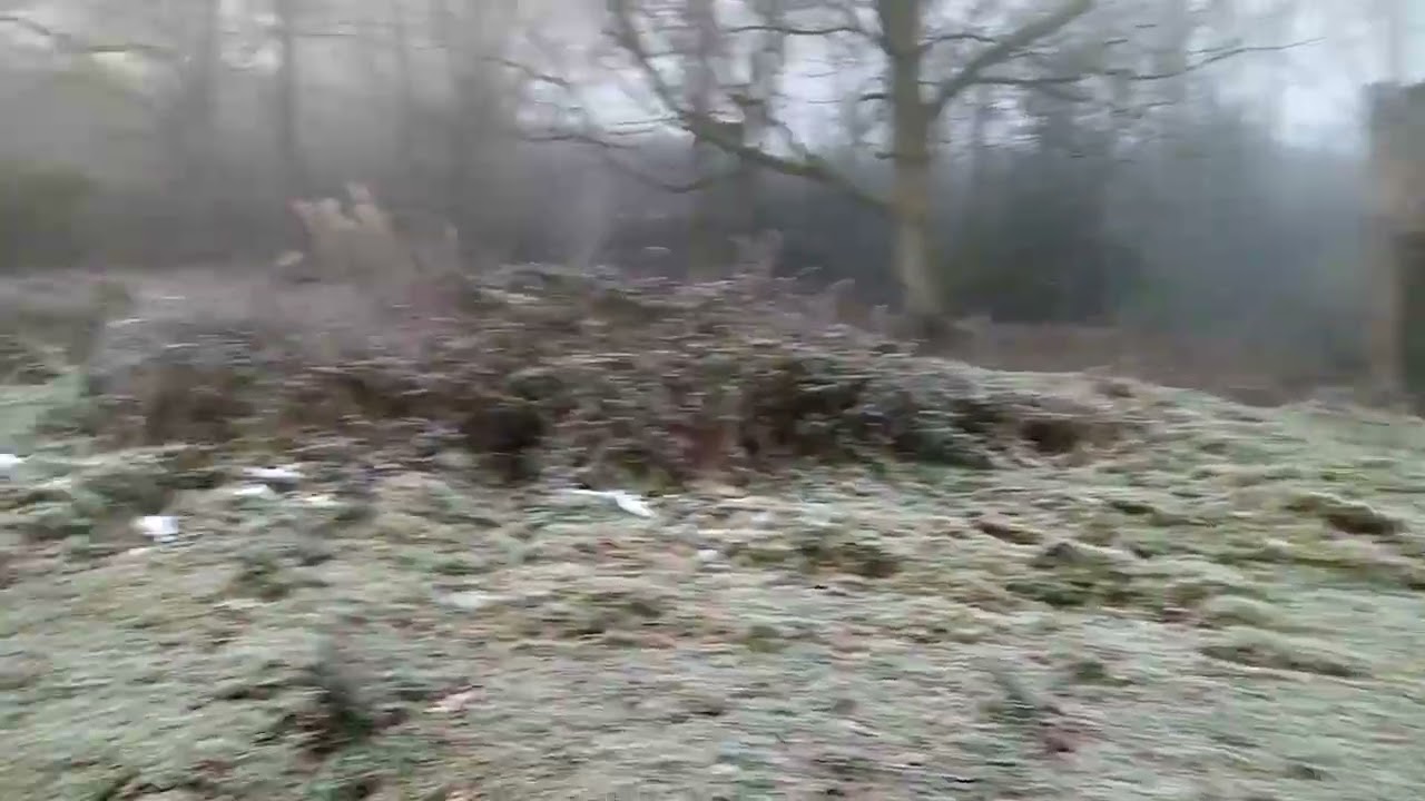Eco-walking during Covid in snowy weather around Rudyard Lake