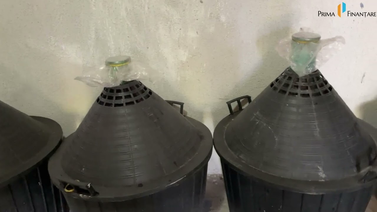 Ce trebuie să cunoști pentru a produce un vin nobil!