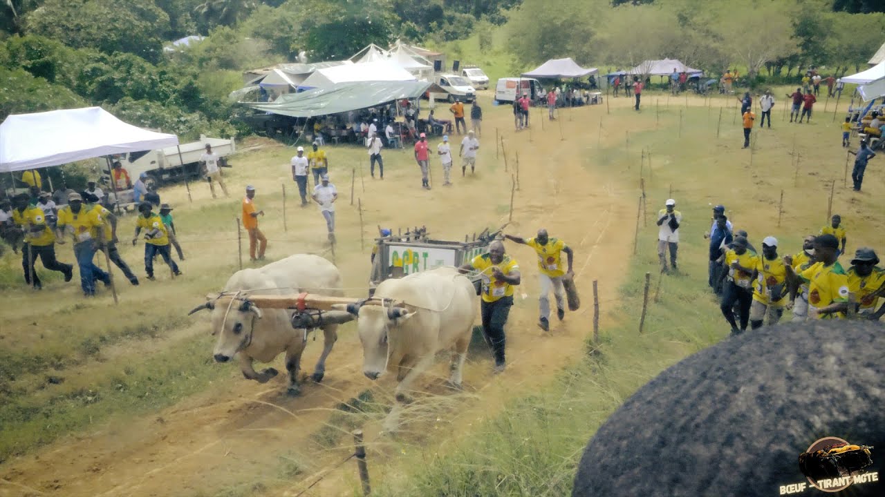 GRAND PRIX VILLE DU LAMENTIN - BREFORT - LAMENTIN - 03 JUIN 2023 - Catégorie C