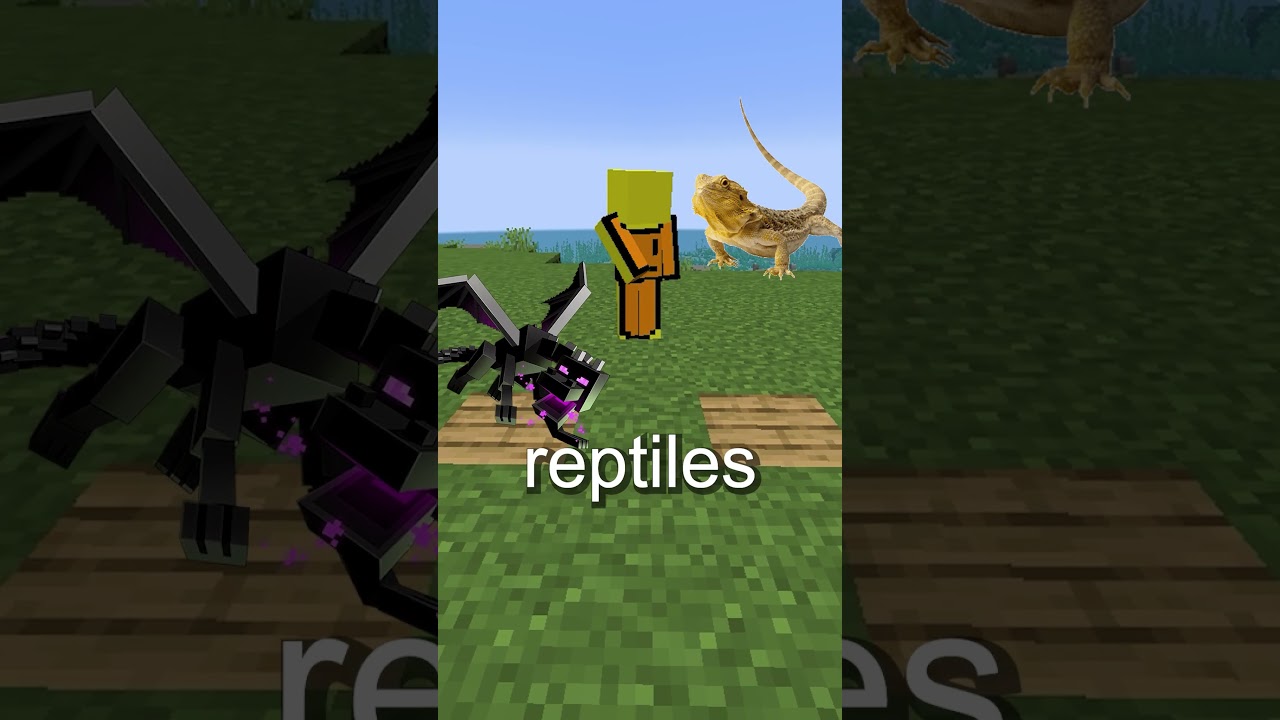The Secret Behind The Dragon Egg In Minecraft