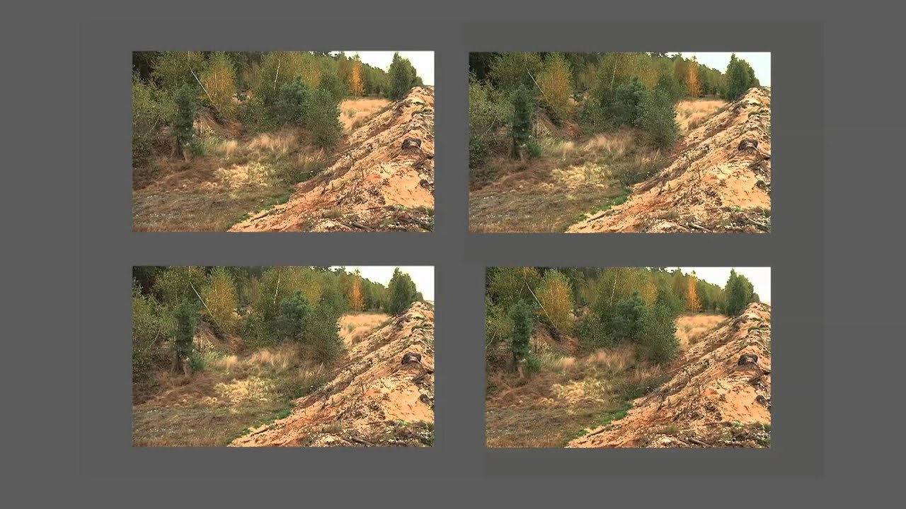 PHANTOMLEAF Flecktarn Woodland C4 vs Advantage TIMBER MARPAT woodland Austria ERBSENTARN