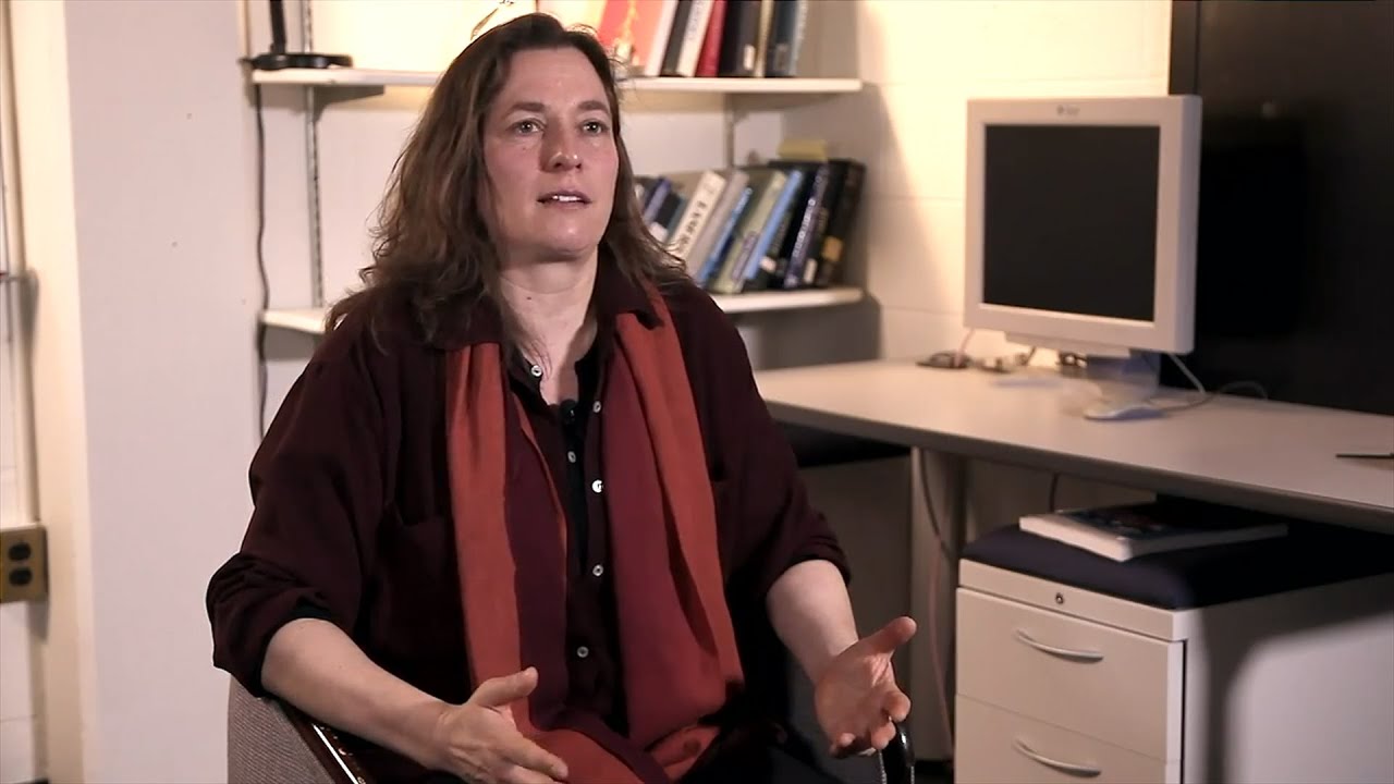 The Dynamic Casimir Effect - Susanne Yelin
