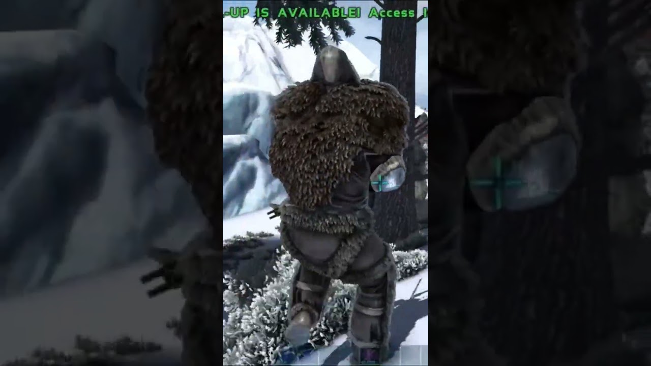taming a yuty hard ? 