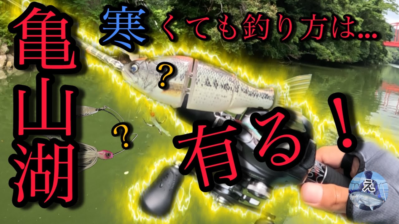 亀山ダムでバス釣り❗️寒くても行こう。【亀山湖】【バス釣り】【秋〜冬】