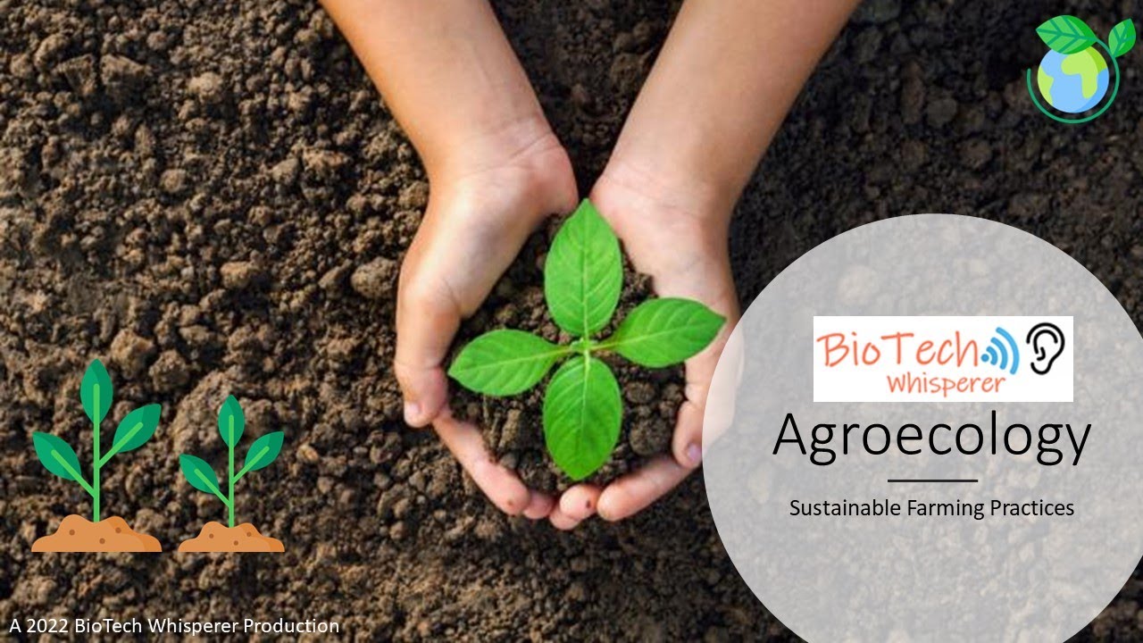 Learn About Agroecology in 4 Minutes