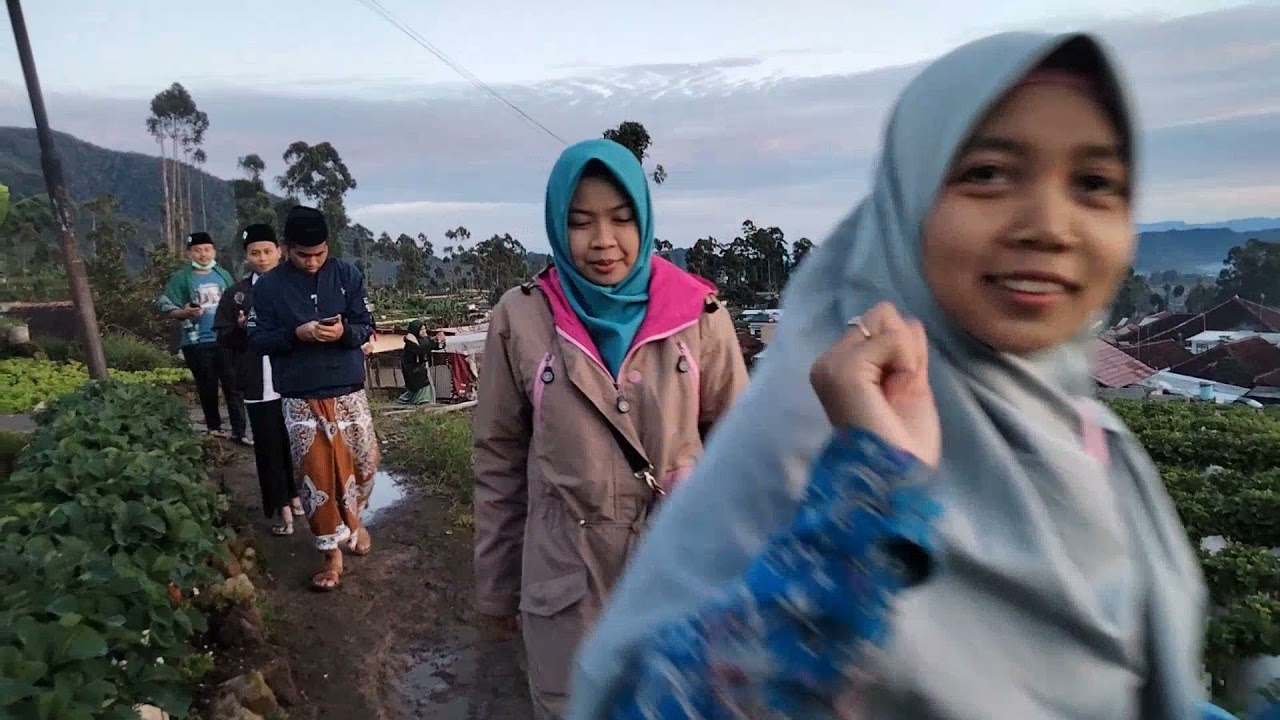 Mengintip Agrobisnis Pondok Pesantren Al Ittifaq Ciwidey Bandung