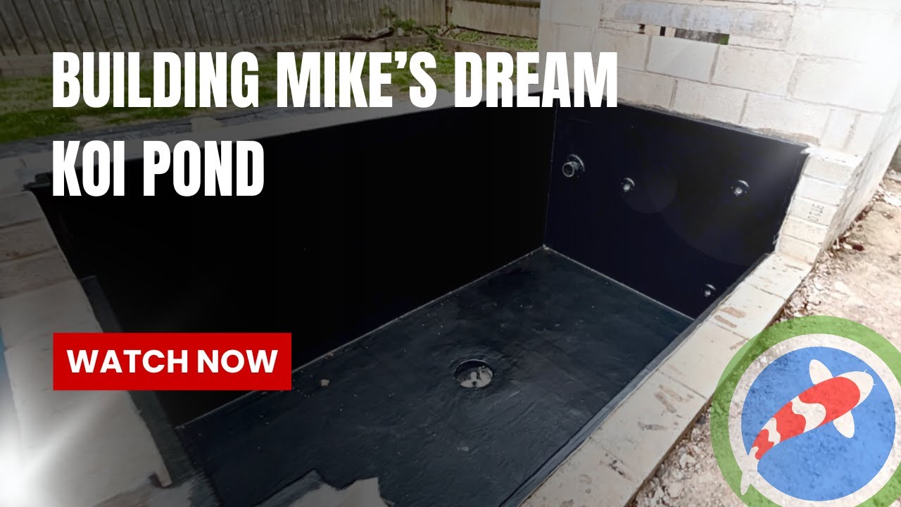 Building Mike's dream koi pond