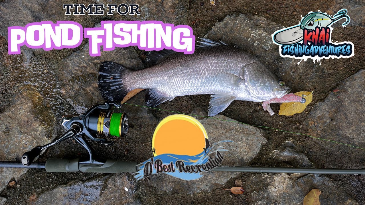 Pasir Ris pond is really D’Best? 1st time fishing at pond | D'Best Recreation | Singapore Pond