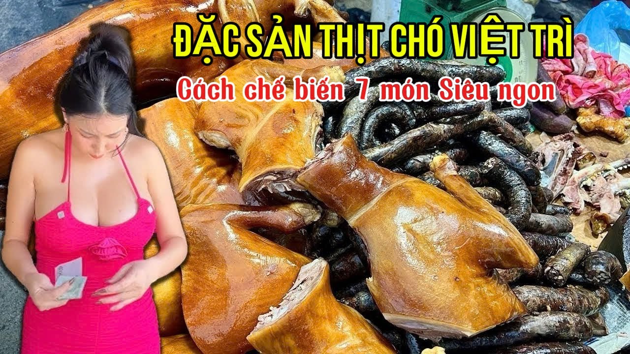 Quán thịt Chó ngon rẻ tại Việt Trì, Chủ quán chia sẻ bí quyết 20 năm làm chó ngoài giòn trong mềm