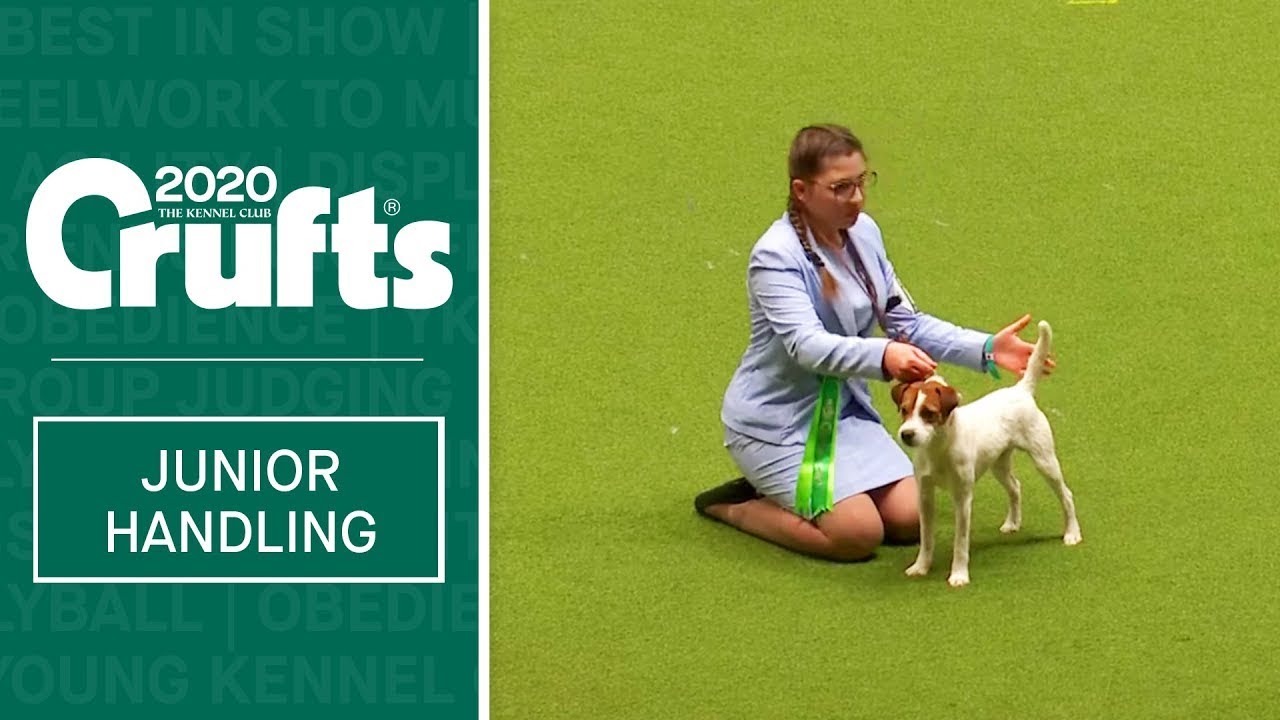 International Junior Handling Competition - Session 2- Part 1 | Crufts 2020