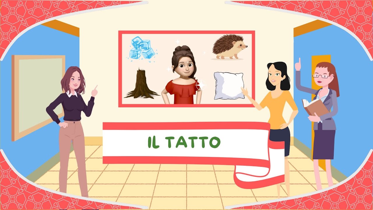 Il tatto  - I 5 sensi - Anatomia per bambini
