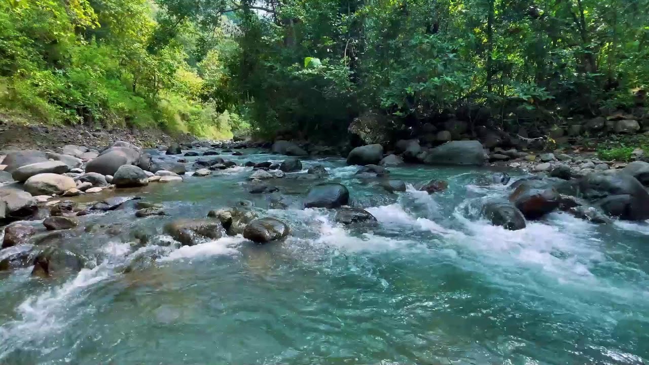 Relaxing River Sounds for Focus, Studying & A Peaceful Home 🌿 Relaxing Sleep Calming Anxiety