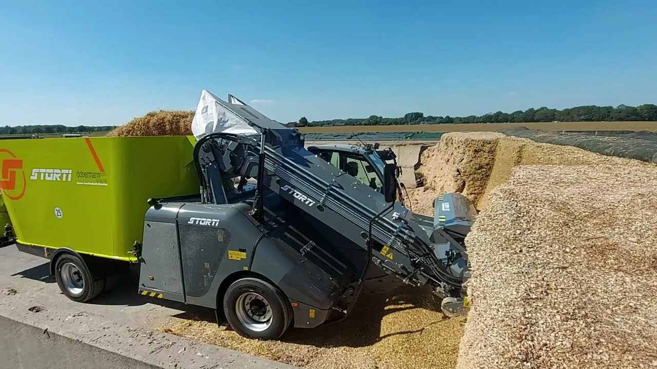 Storti Dobermann SW AS 220
