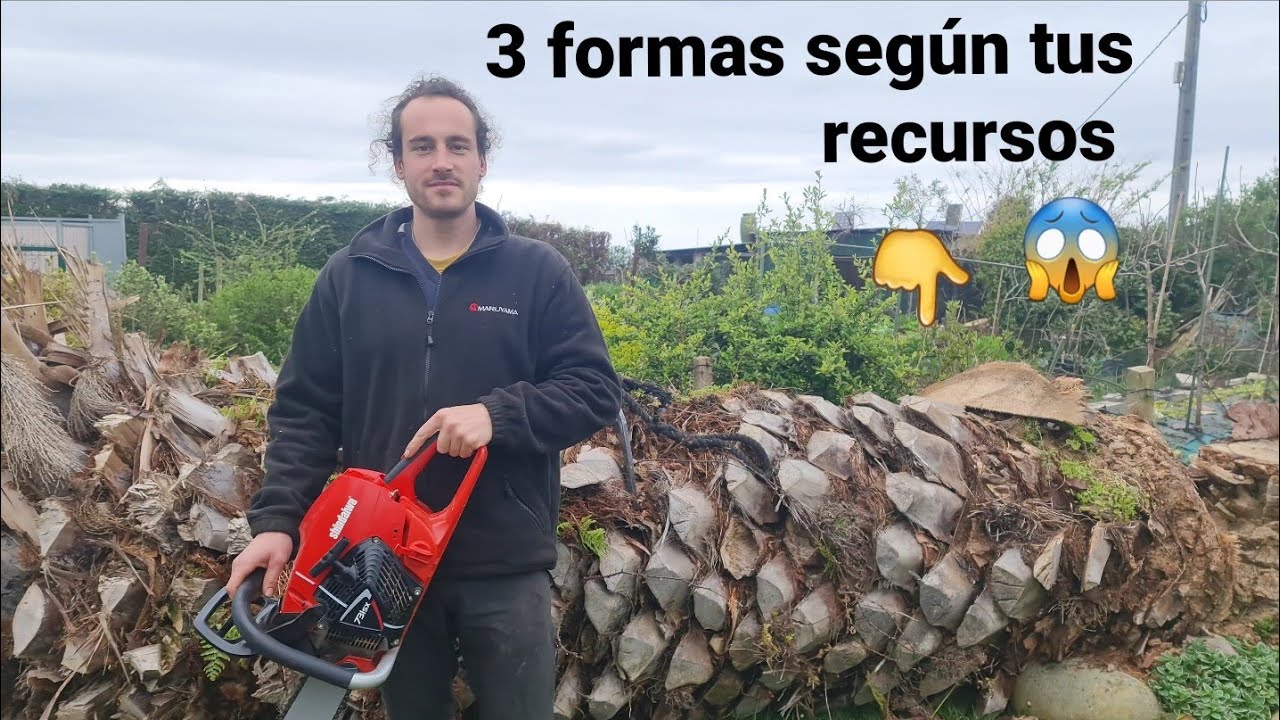 Como DESHACERSE de una PALMERA