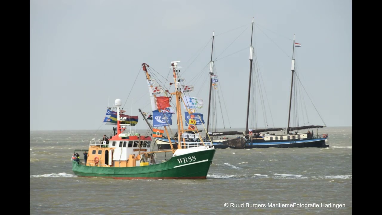 HT race  voor roeisloepen 2025  foto's