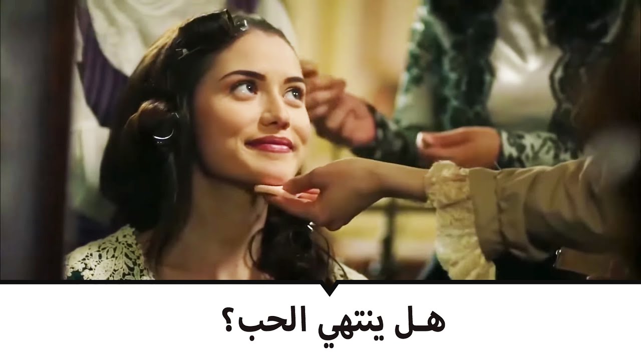 هل يعاني الحب دائما؟ | طائر النمنمة  مشاهد خاصة