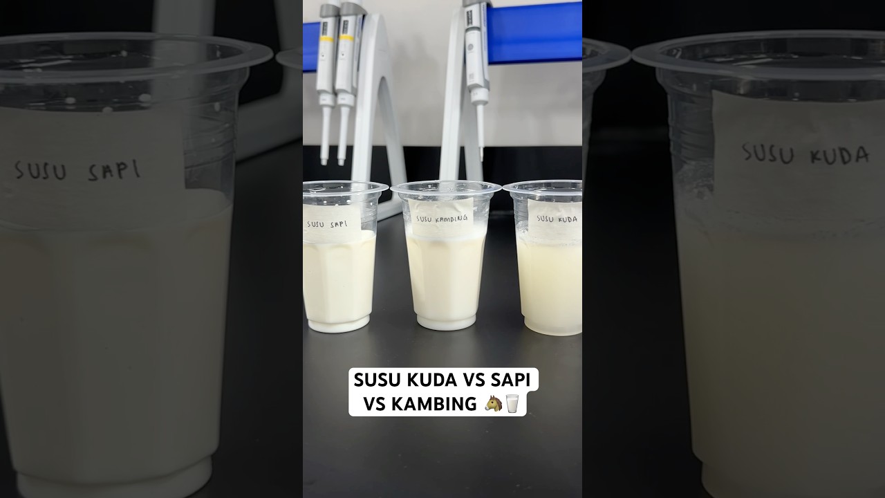 Cobain Susu Kuda.. Beda Banget Sama Susu Sapi & Kambing! 🐴🐐🐮 #science #foodtech #susukuda #susu