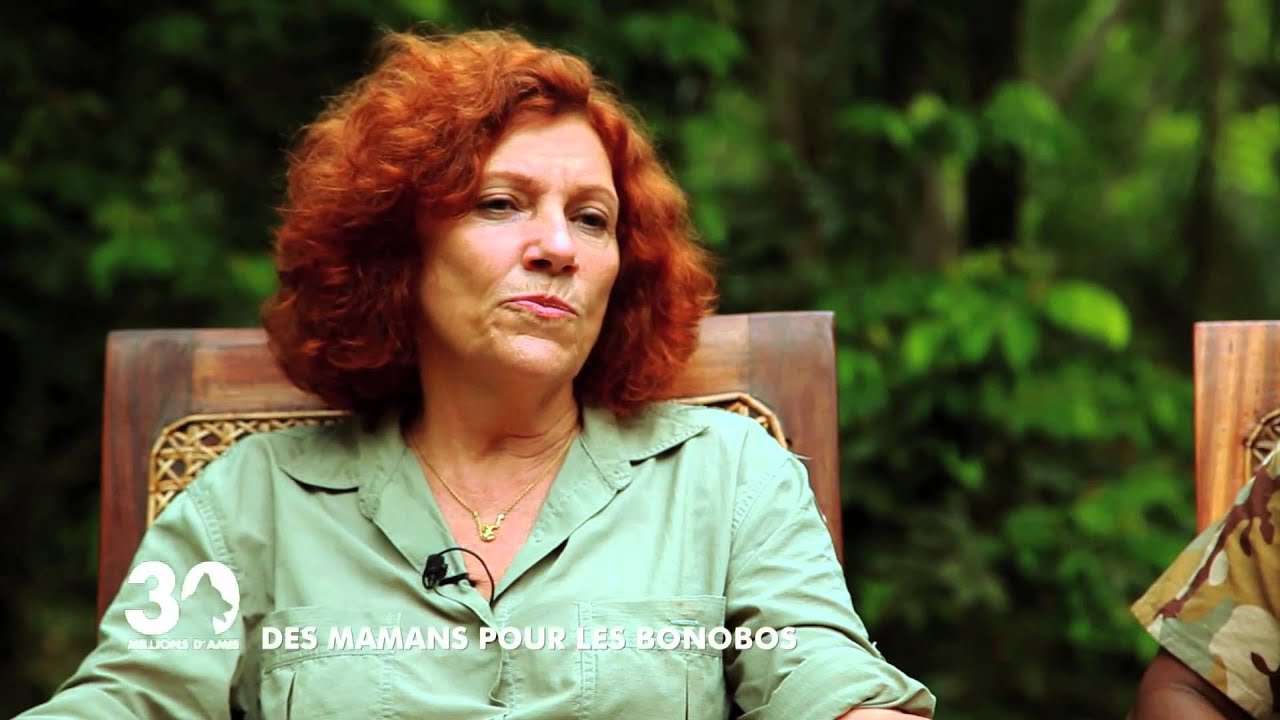 Lola Ya Bonobo - Le paradis des bonobos
