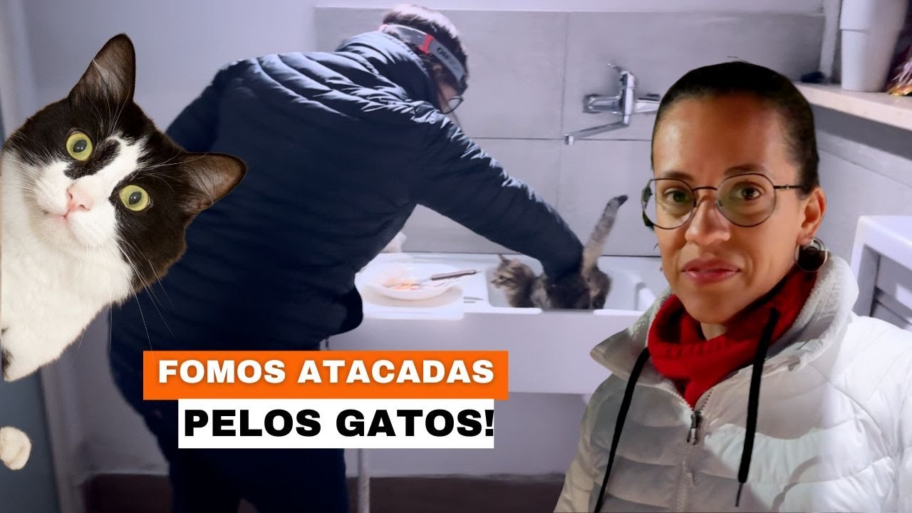 Fomos Atacadas Pelos Gatos! RoadTrip Sul da Itália Ep.11