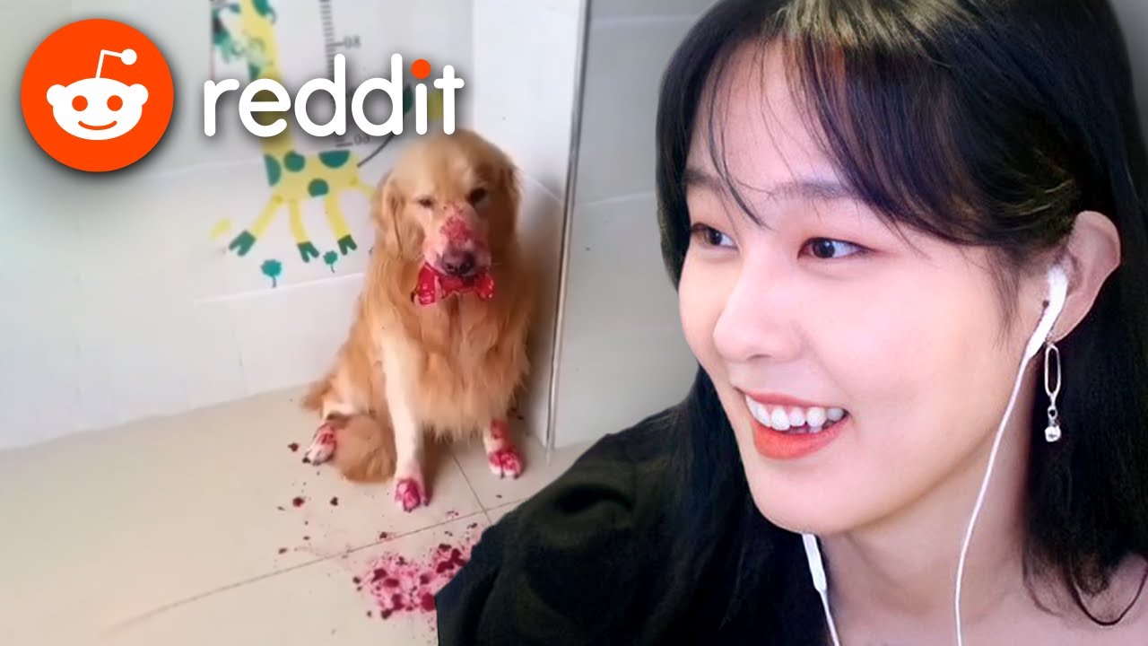 39daph Reacts to Reddit #22