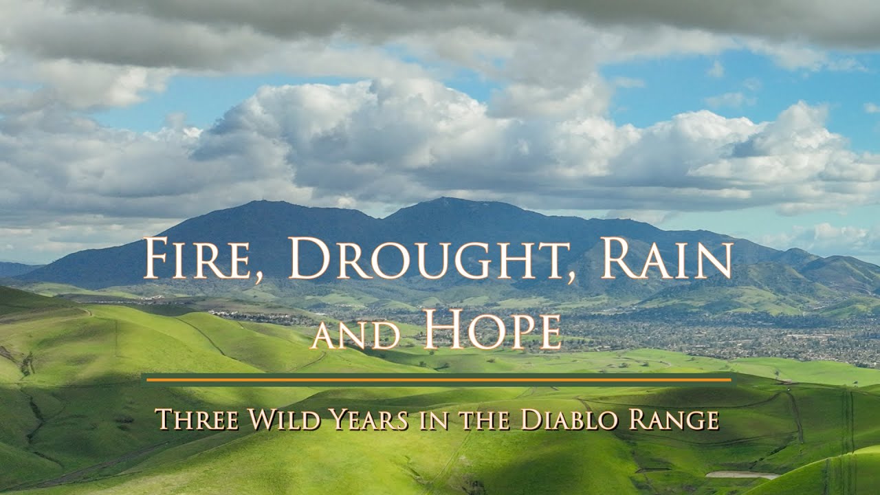 Fire, Drought, Rain and Hope: Three Wild Years in the Diablo Range