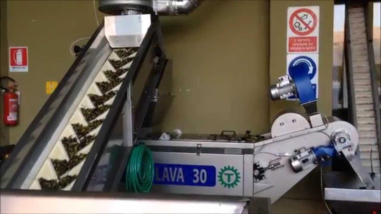 Nuova automazione frantoio olive 2014 TECNOLIVA & TECNOTREB