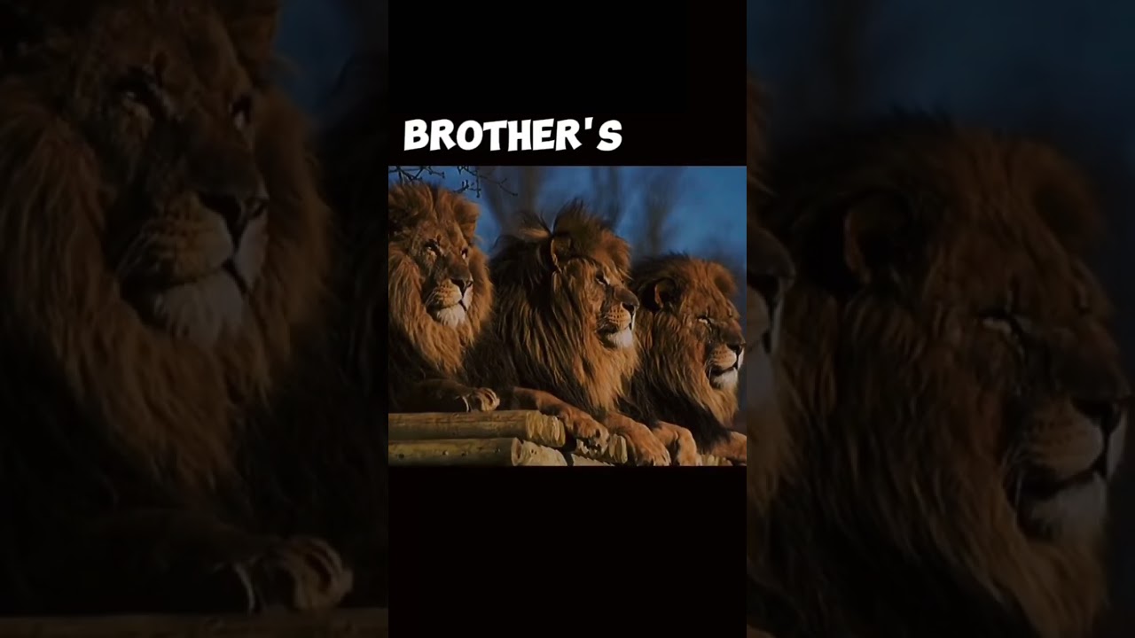 #freefire #bestshorts #op #trending #3brothers #like #subscribe #bestbrother #share #opshorts