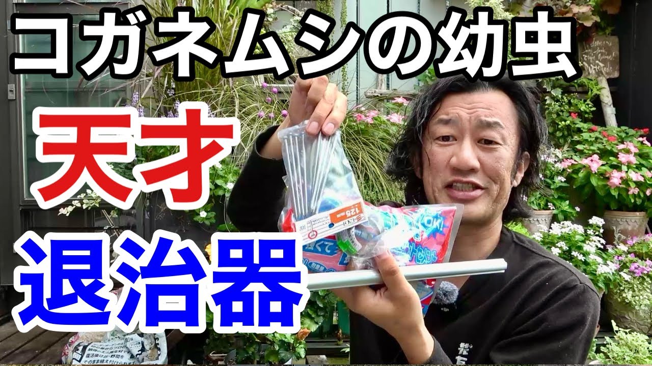 【材料費1000円弱】コガネムシの幼虫退治器はこれで作れます　【園芸超人カーメン君】