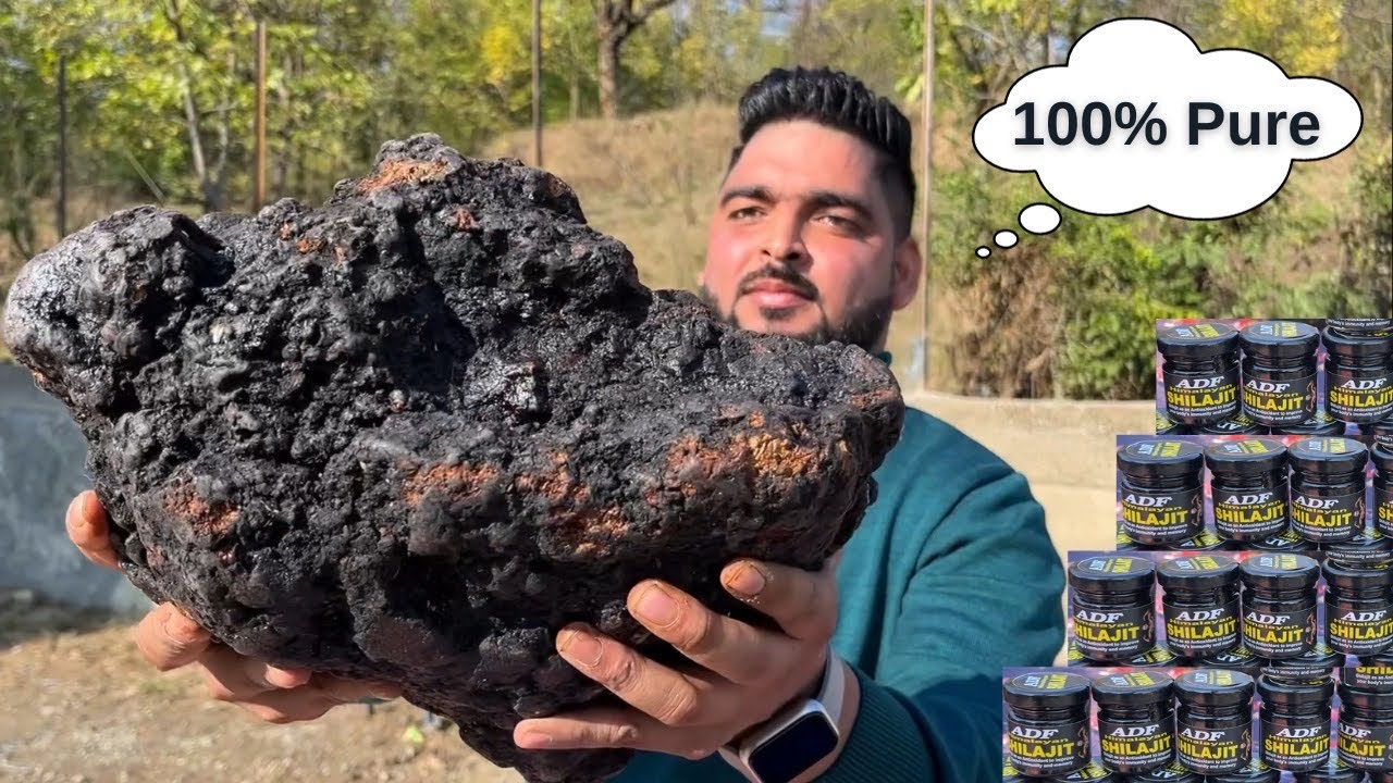 शिलाजीत कैसे बनाई जाती है ? || How Shilajit is Made || Benefits of Shilajit