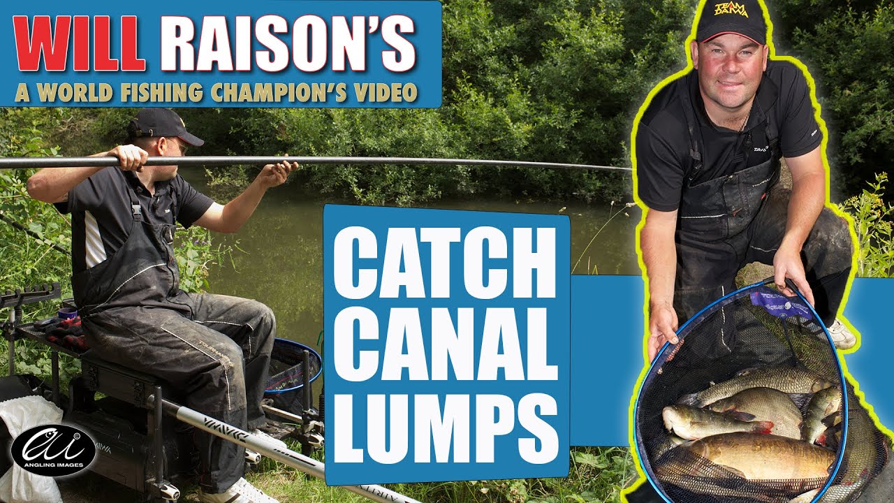 Canal Carp,Tench, Bream & Perch On The Pole | Will Raison Fishing