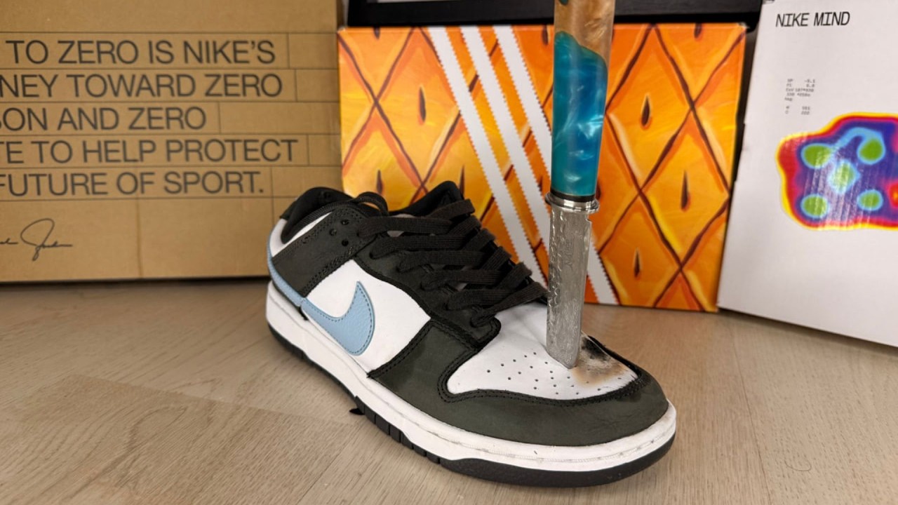 Nike Dunk Low - What’s Inside?