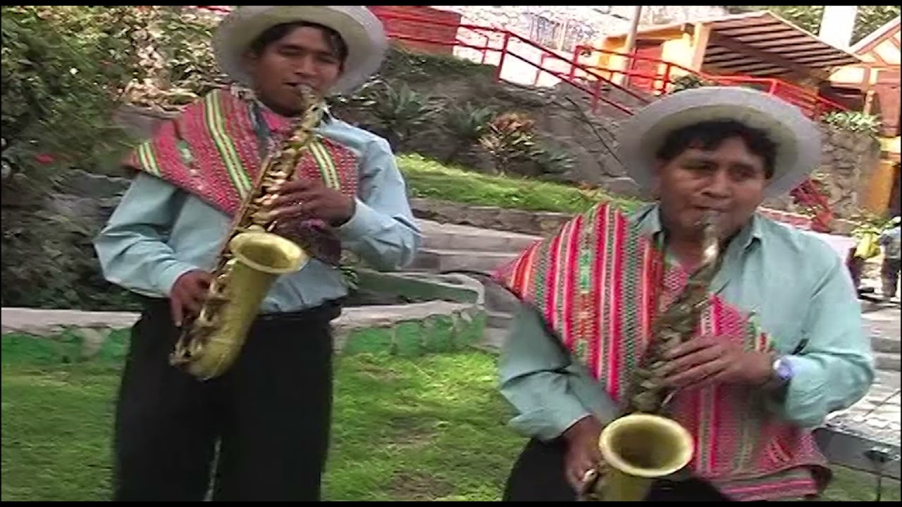 CAMPESINA DE VIQUES - HAYDEE VALENZUELA CANO Arbolito de mi casa - Santiago (Álbum 2006)