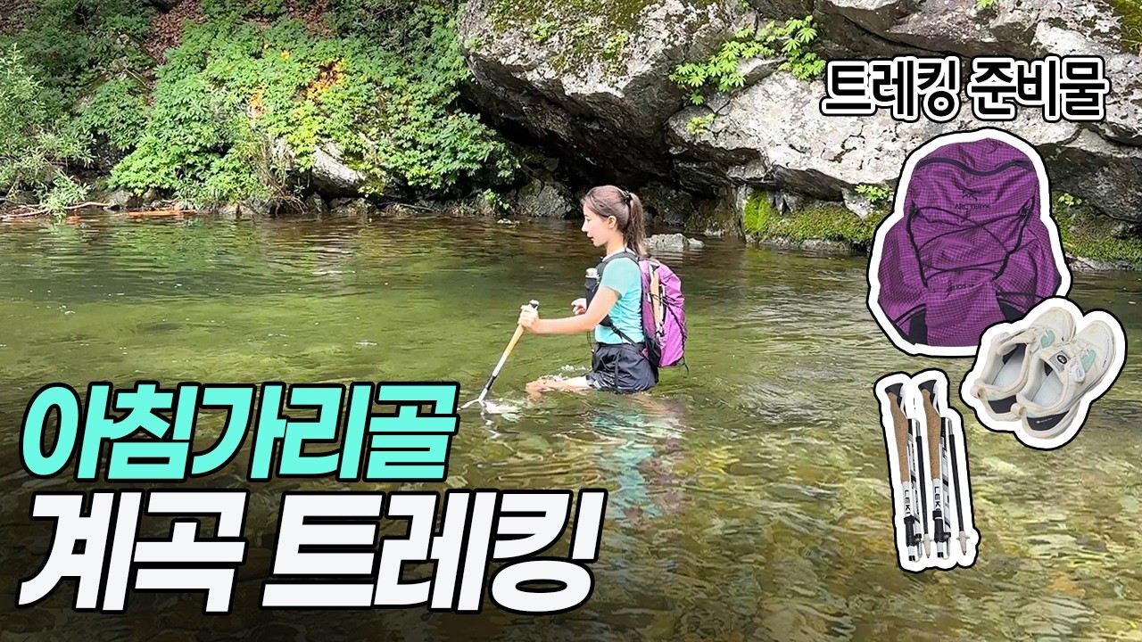 더위? 그게뭔데 여긴 너무 시원해! 8월에 가기 좋은 아침가리 계곡 트레킹 코스 준비물