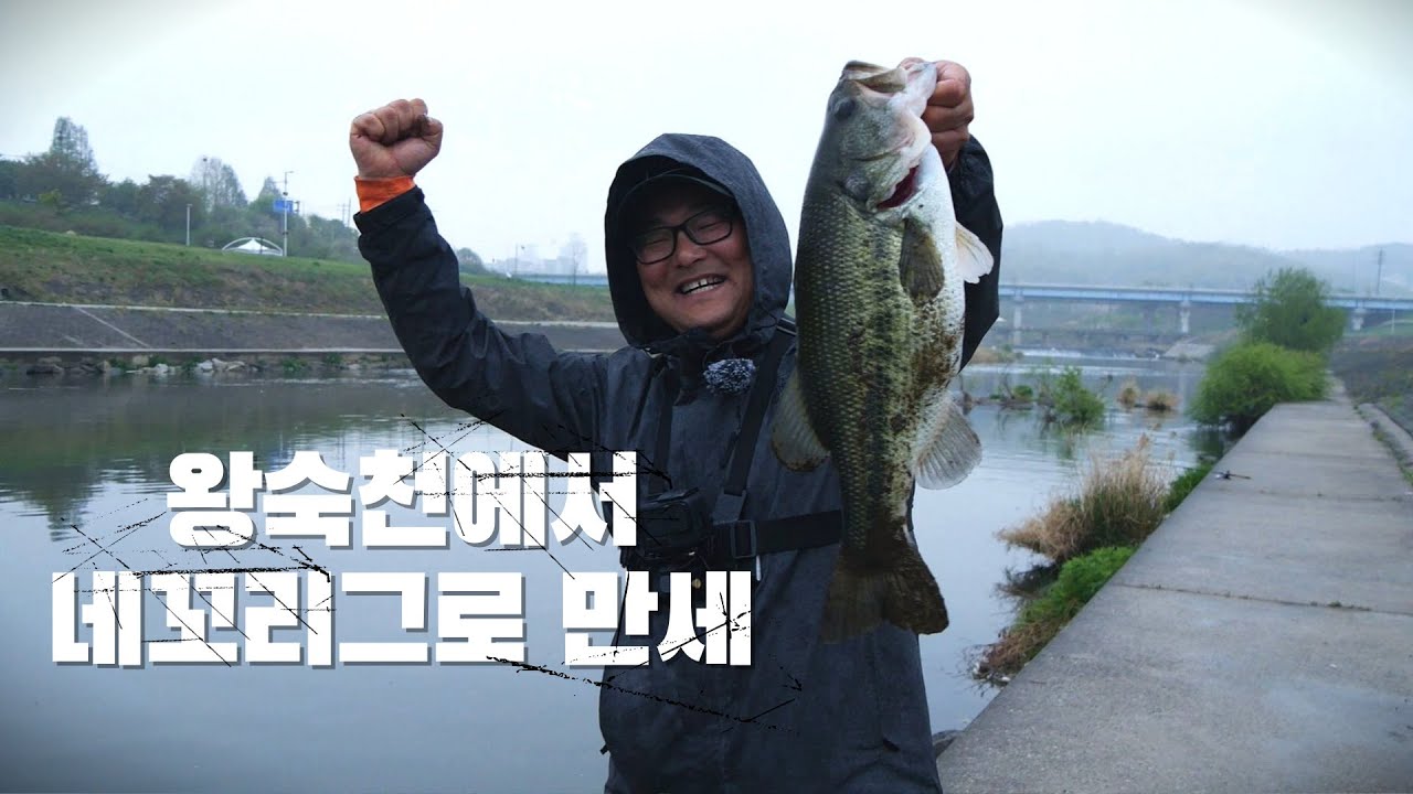 [피싱로그99.9] #186회 왕숙천 토평교에서 네꼬리그로 런커 배스를!!