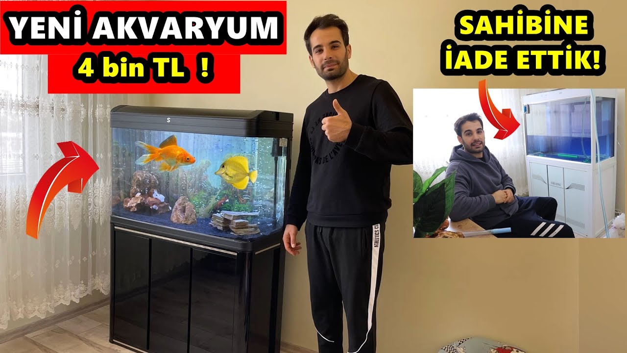 BAŞ BELASI AKVARYUMDAN KURTULDUK ! Yeni Akvaryum Aldık!