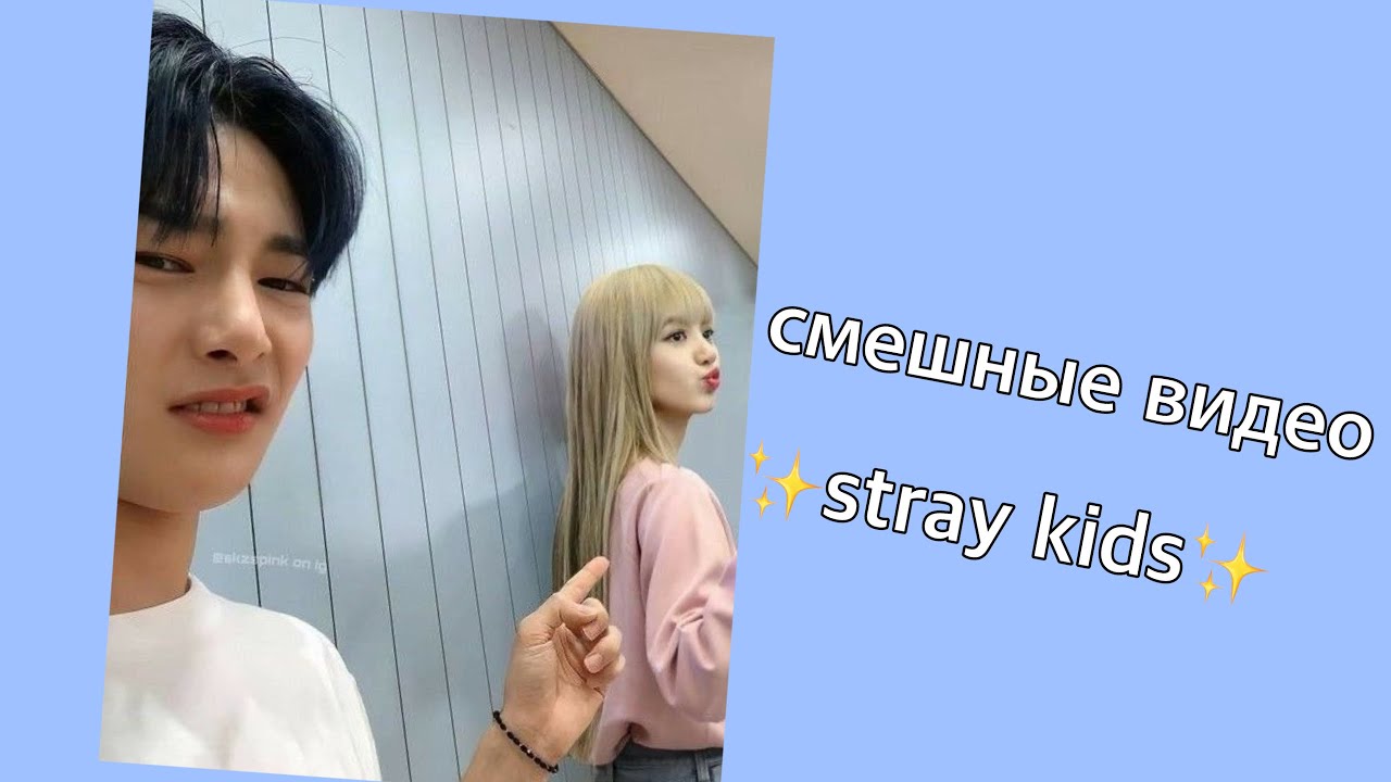 смешные видео с stray kids || 1 часть