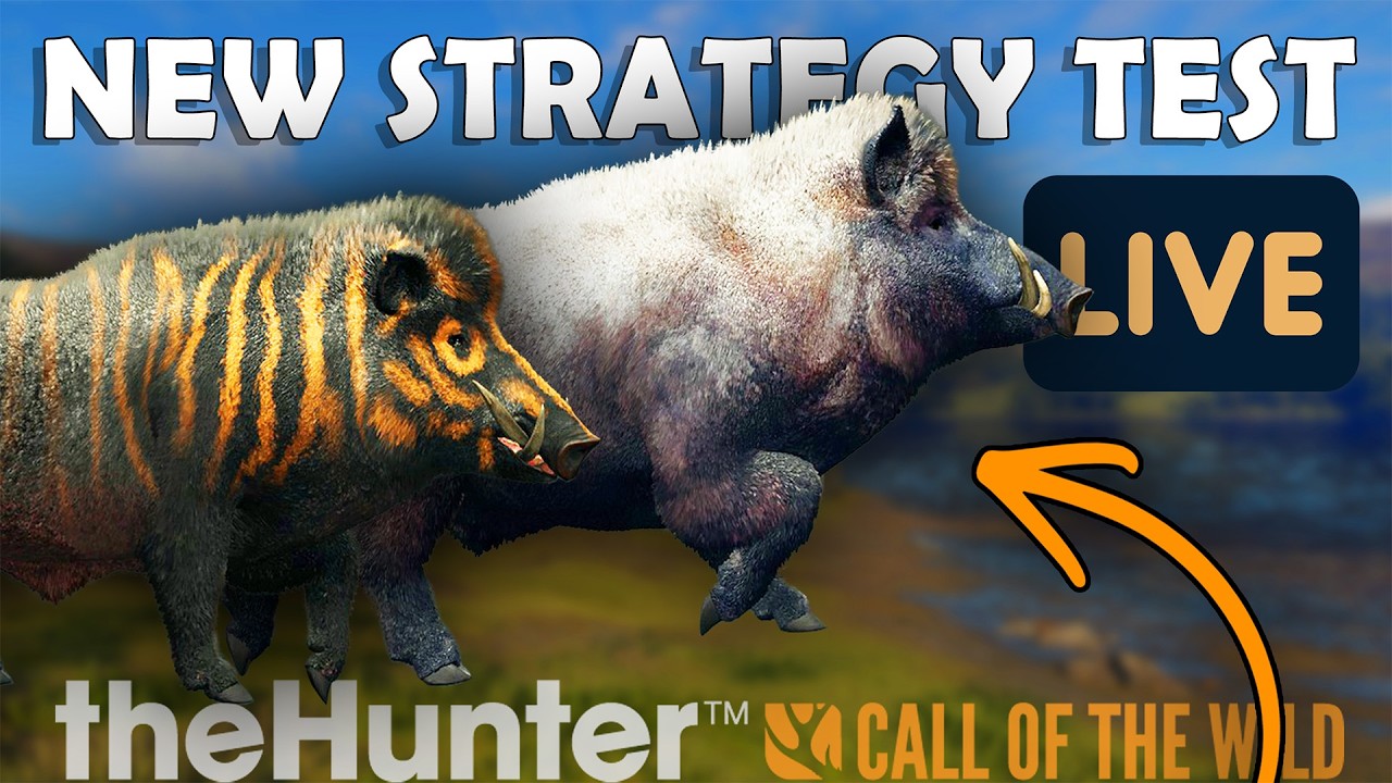 I Think This Strategy Is Working… 👀 Boar Grind LIVE